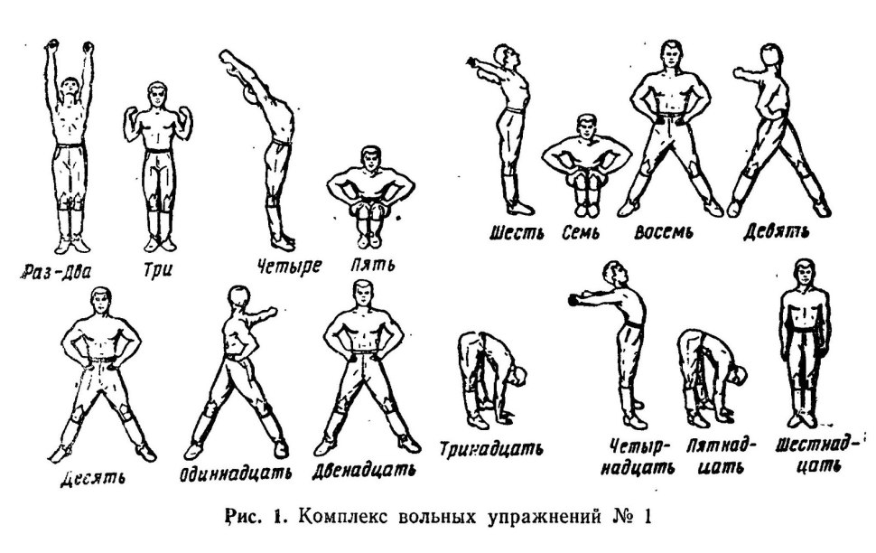 НФП комплекс вольных упражнений 1-2