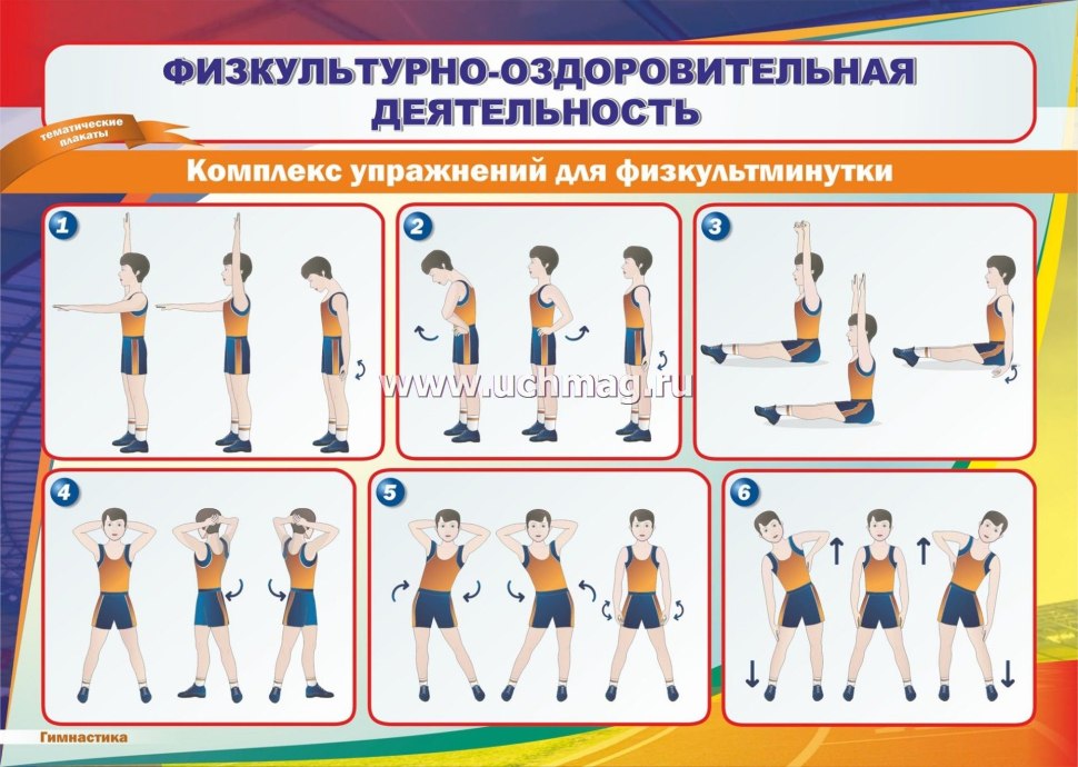 Наглядные пособия по физкультуре