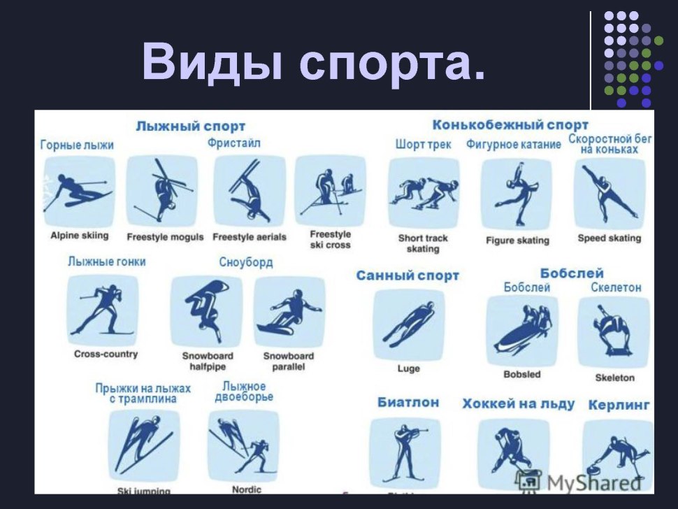 Разновидности зимних видов спорта