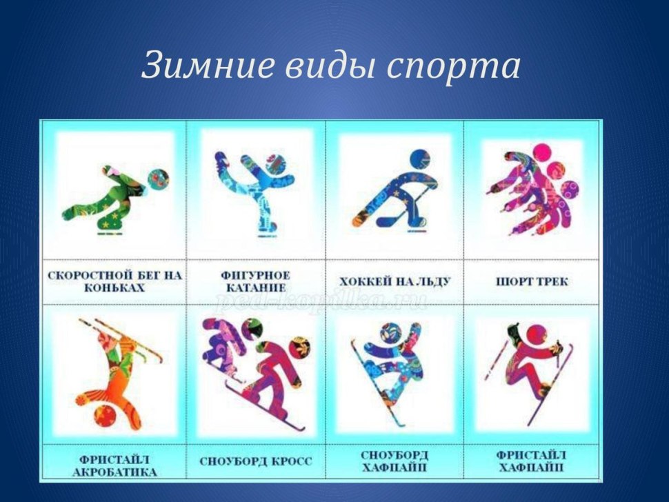Самые популярные зимние виды спорта