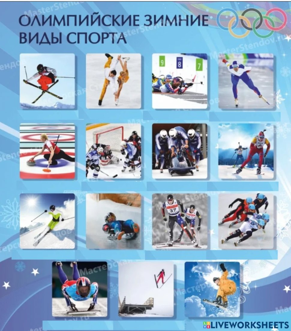 Стенд зимние виды спорта