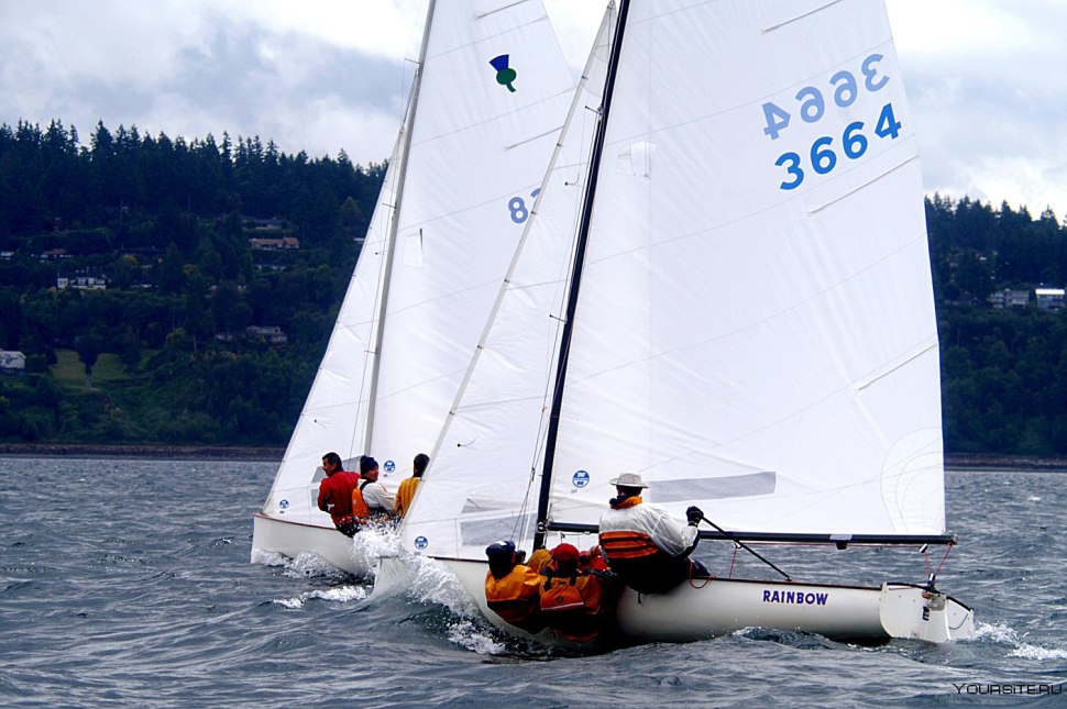 Fly 600 sailboat