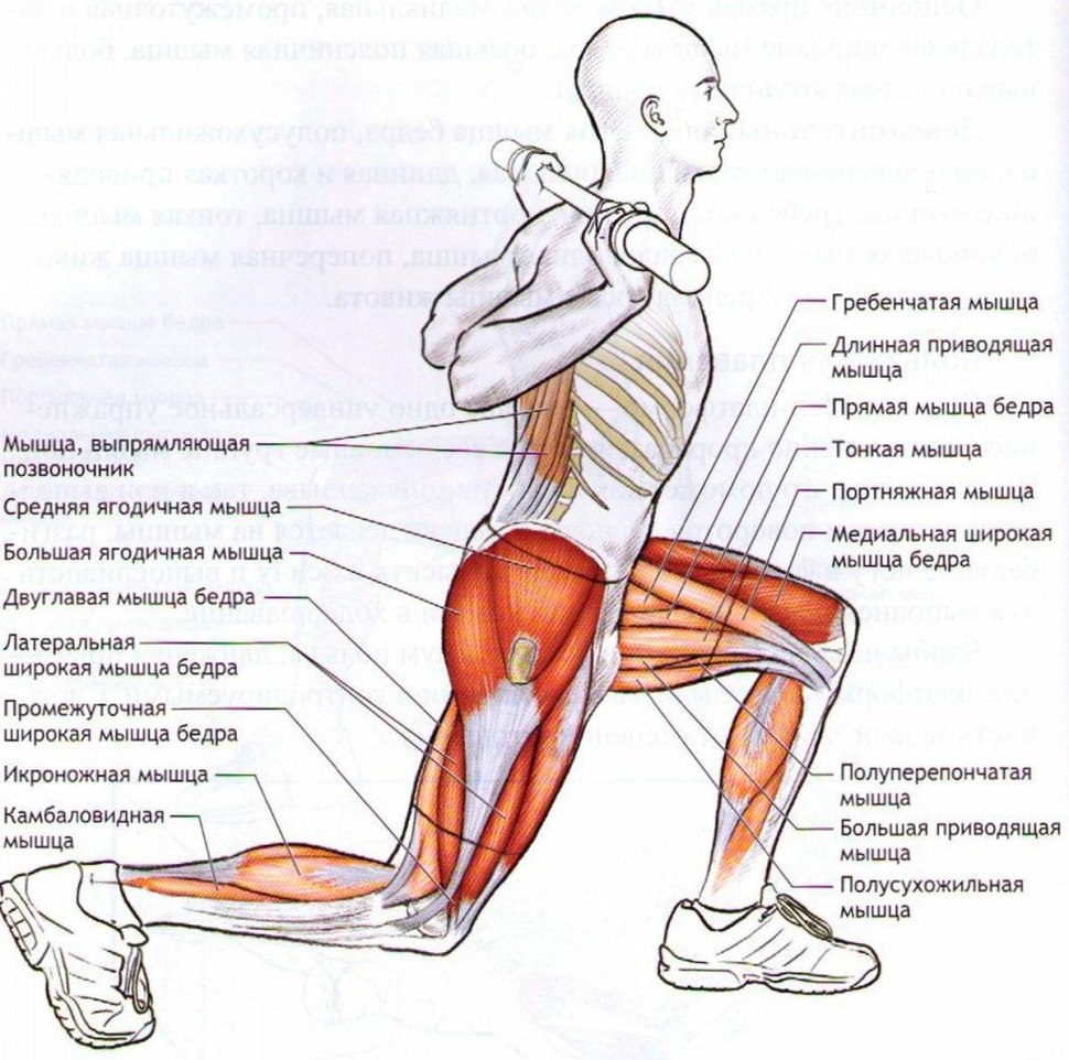 Упражнения на бедра (66 фото) - картинки photosota