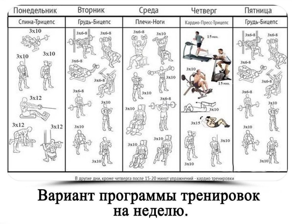 Программа тренировок в зале