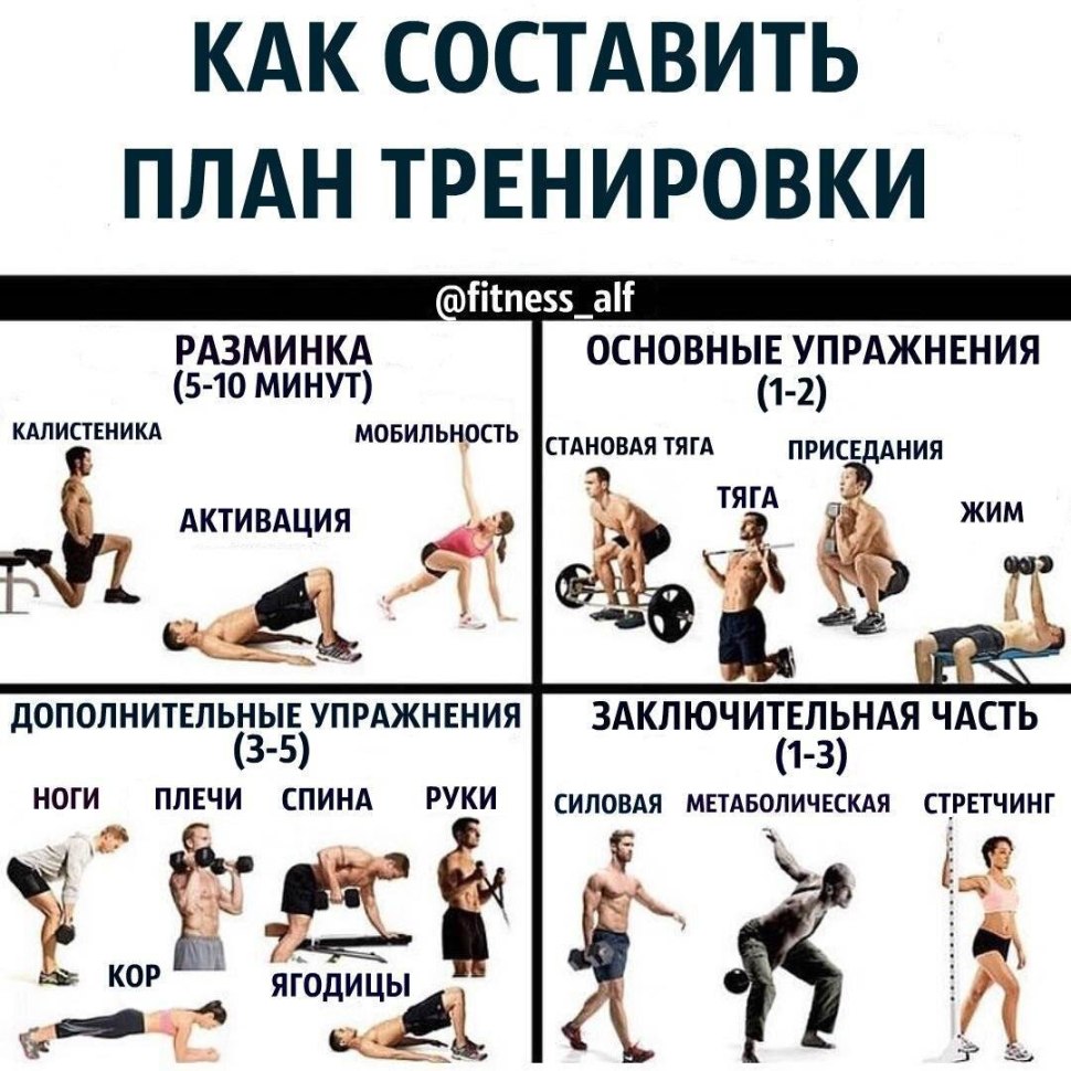 Программа тренировок в тренажерном зале для начинающих мужчин