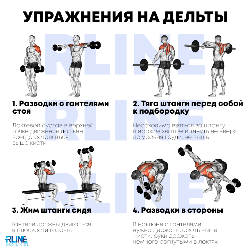 Упражнения на пресс в спортзале для мужчин