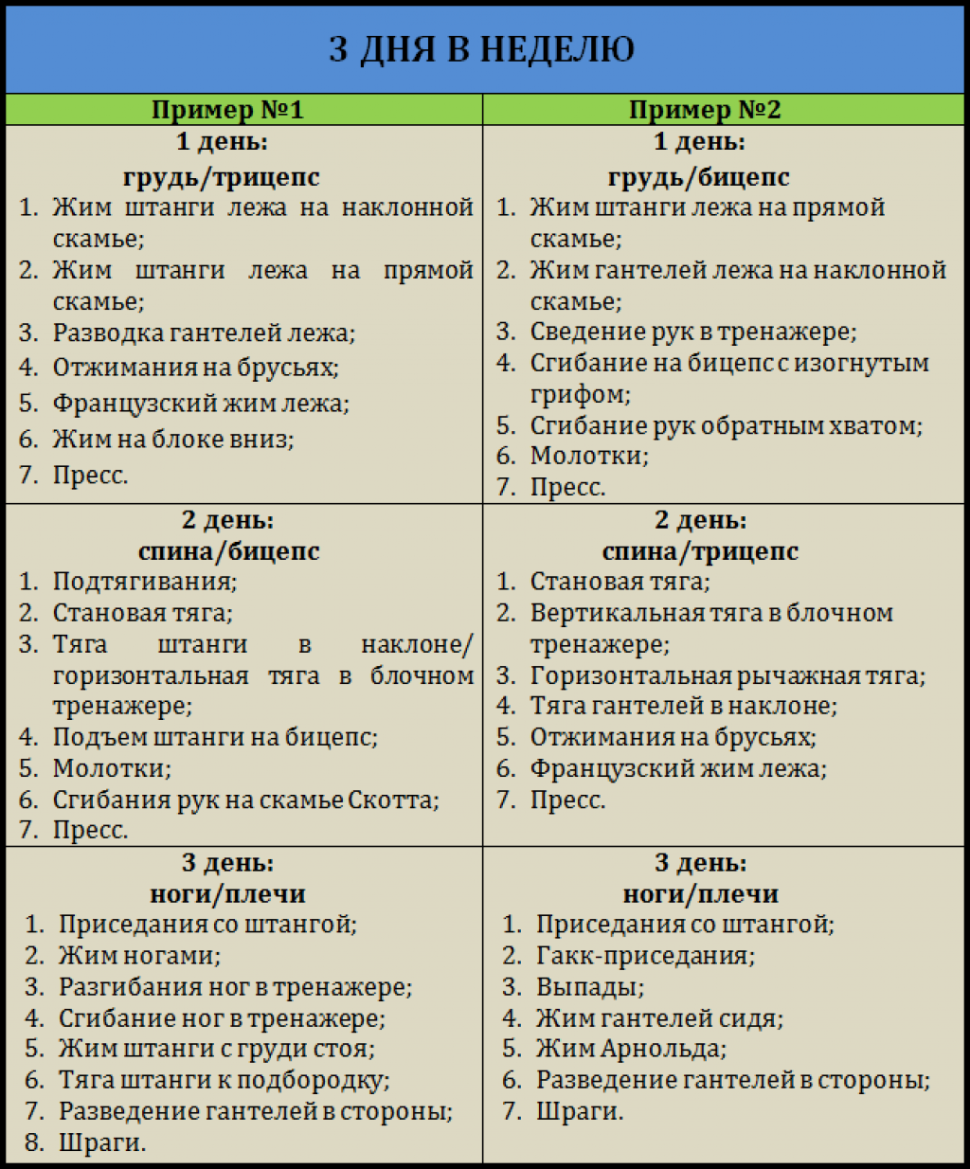 Пример программы тренировок в тренажерном зале для мужчин