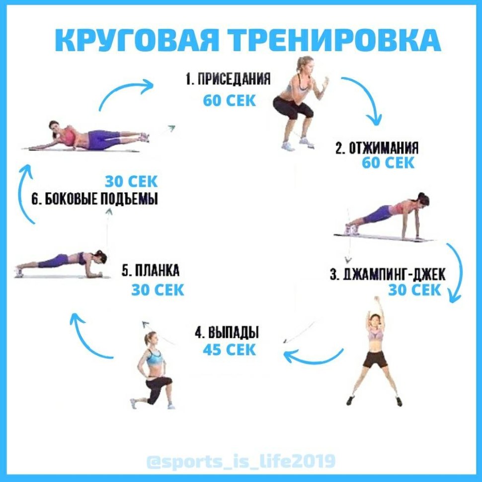 Упражнения в тренажерном зале для девушек для начинающих (65 фото) -  картинки photosota