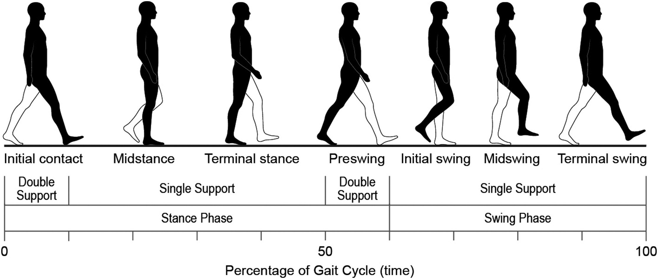 02 - simple gait