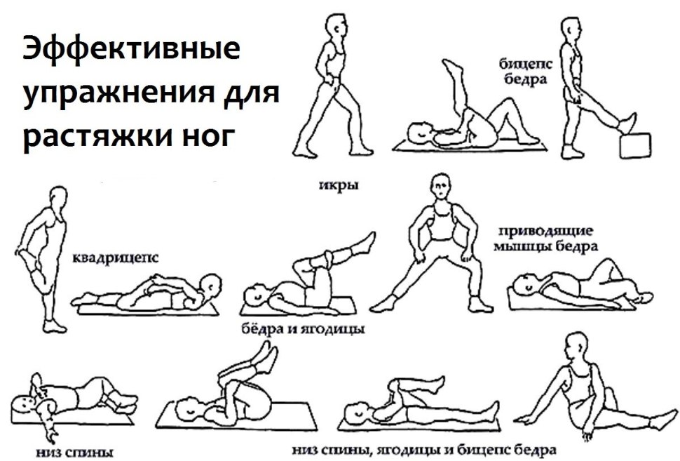 Комплекс упражнений для растягивания мышц ног