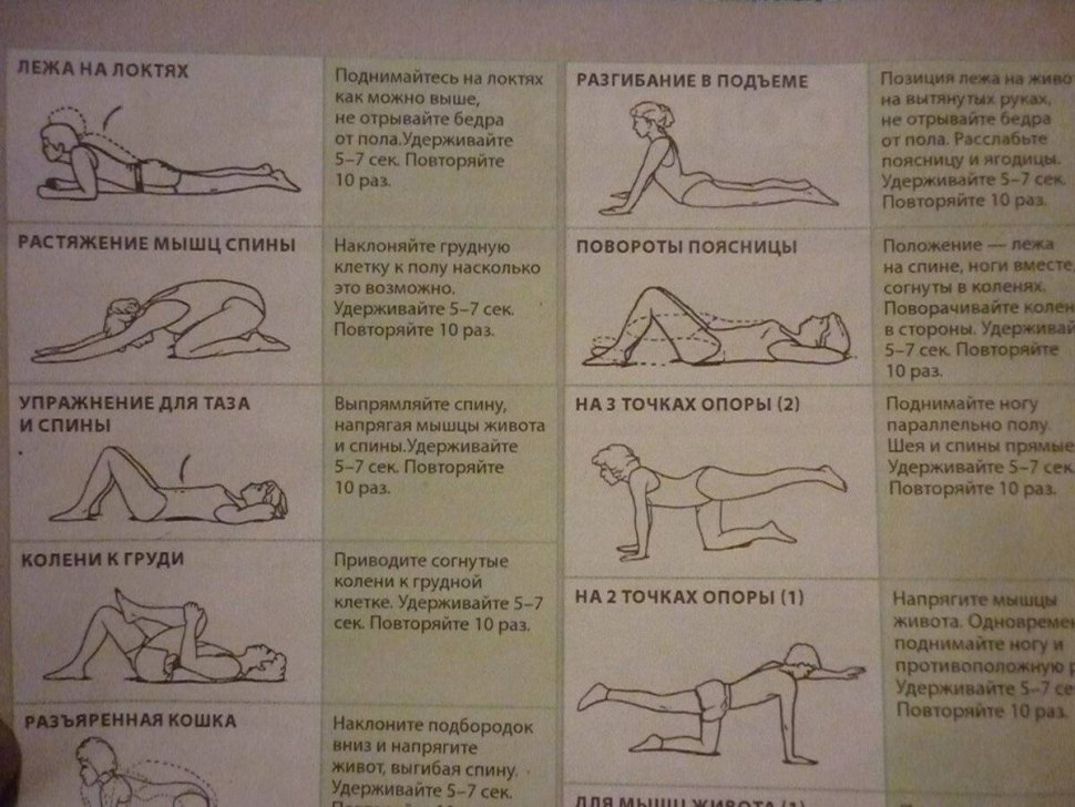 ЛФК для укрепления мышц спины при сколиозе