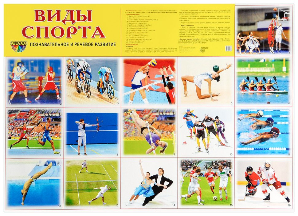Виды спорта