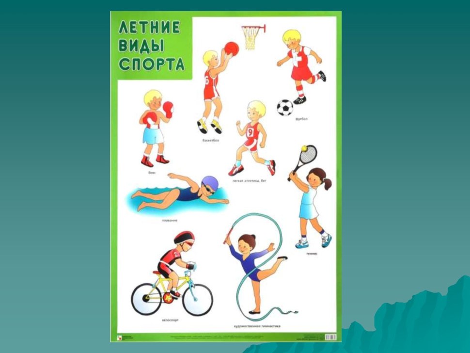 Летние виды спорта