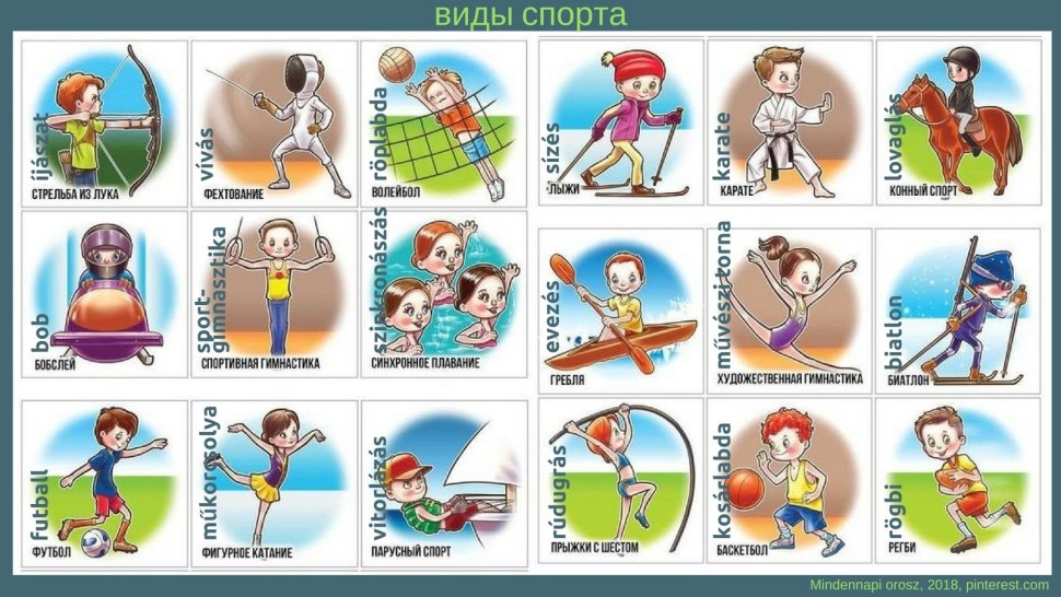 Виды спорта для детей