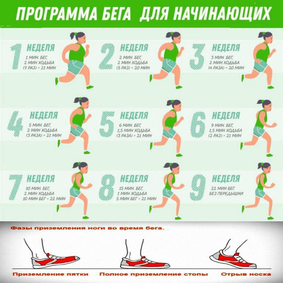 Бег по утрам для похудения для начинающих таблица для женщин