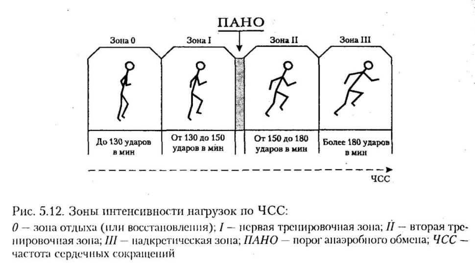Зоны интенсивности нагрузок по частоте сердечных сокращений