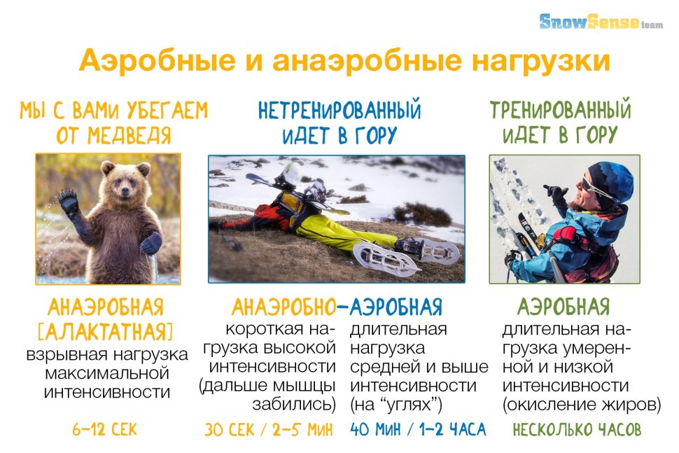 Аэробные и аэробные нагрущки