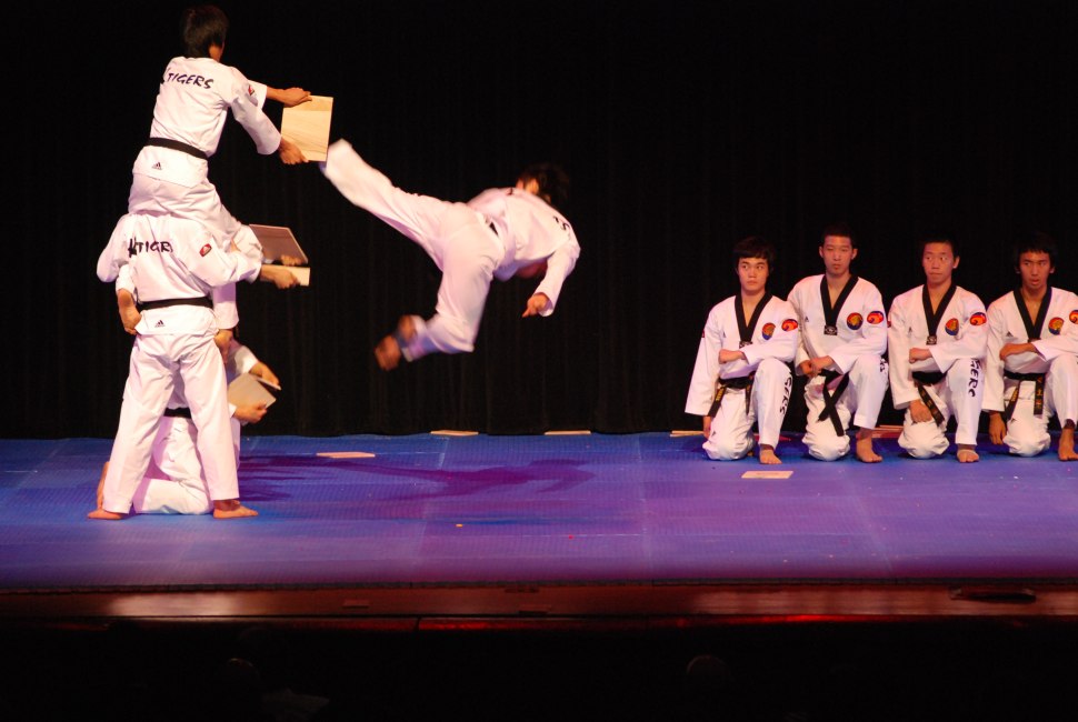 K Tigers Taekwondo
