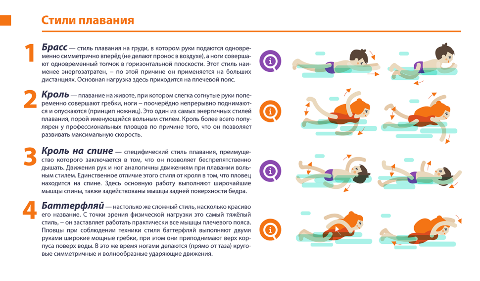 Какие мышцы работают при плавании