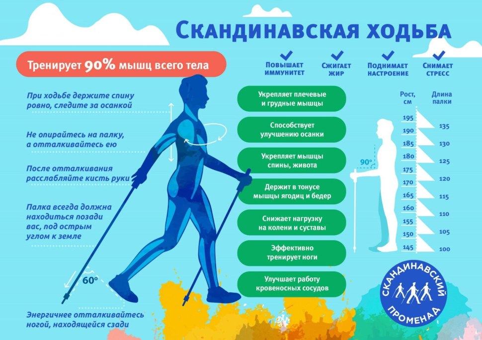 Ходьба со скандинавскими палками методика