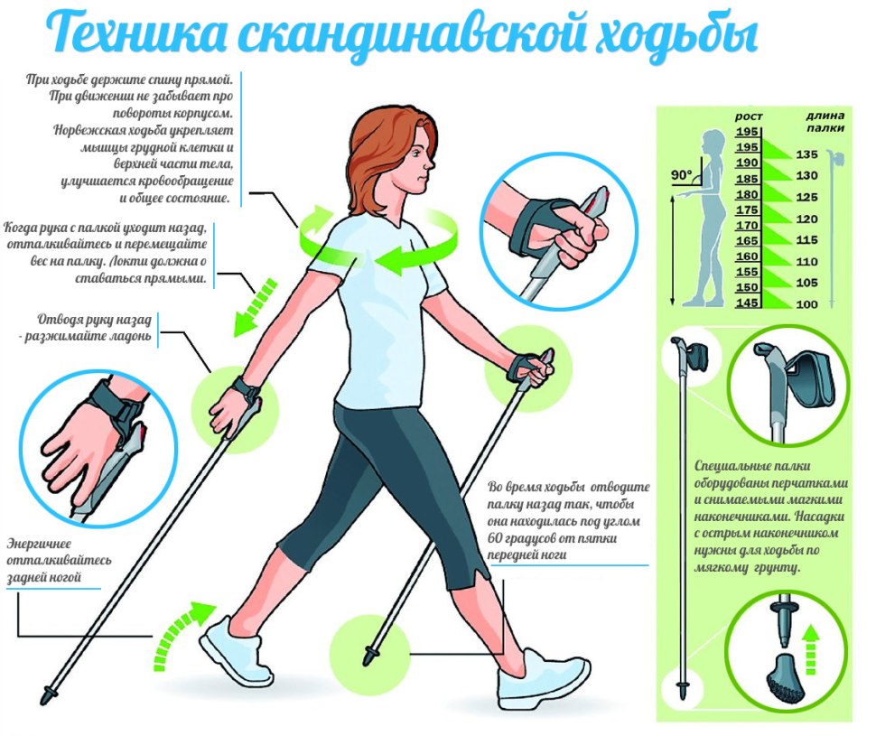 Скандинавская ходьба с палками техника