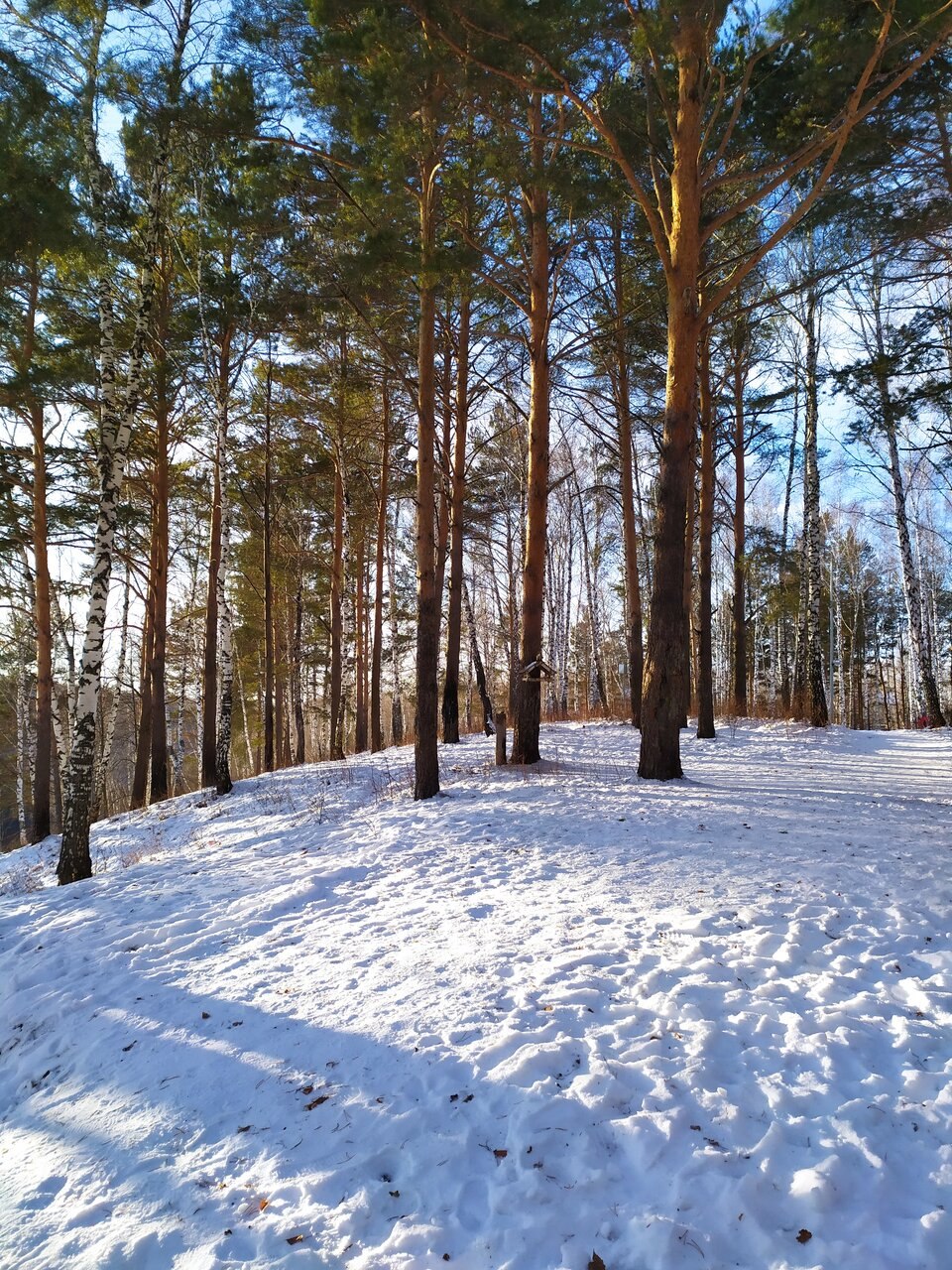Тобол Тобольск