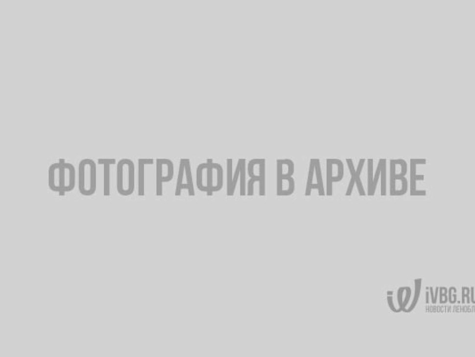 Выборг Рыцарский турнир Выборг 2022